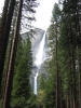 PICTURES/Yosemite National Park/t_Yosemite Falls10.JPG
